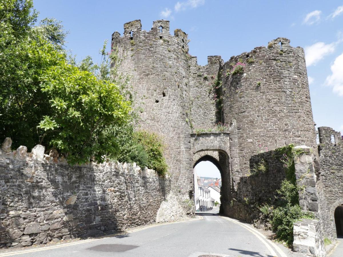 Llys Madoc, Basement Apartment Penmaenmawr Экстерьер фото